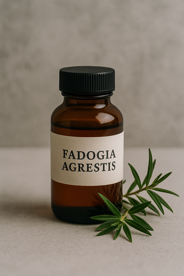 Fadogia Agrestis