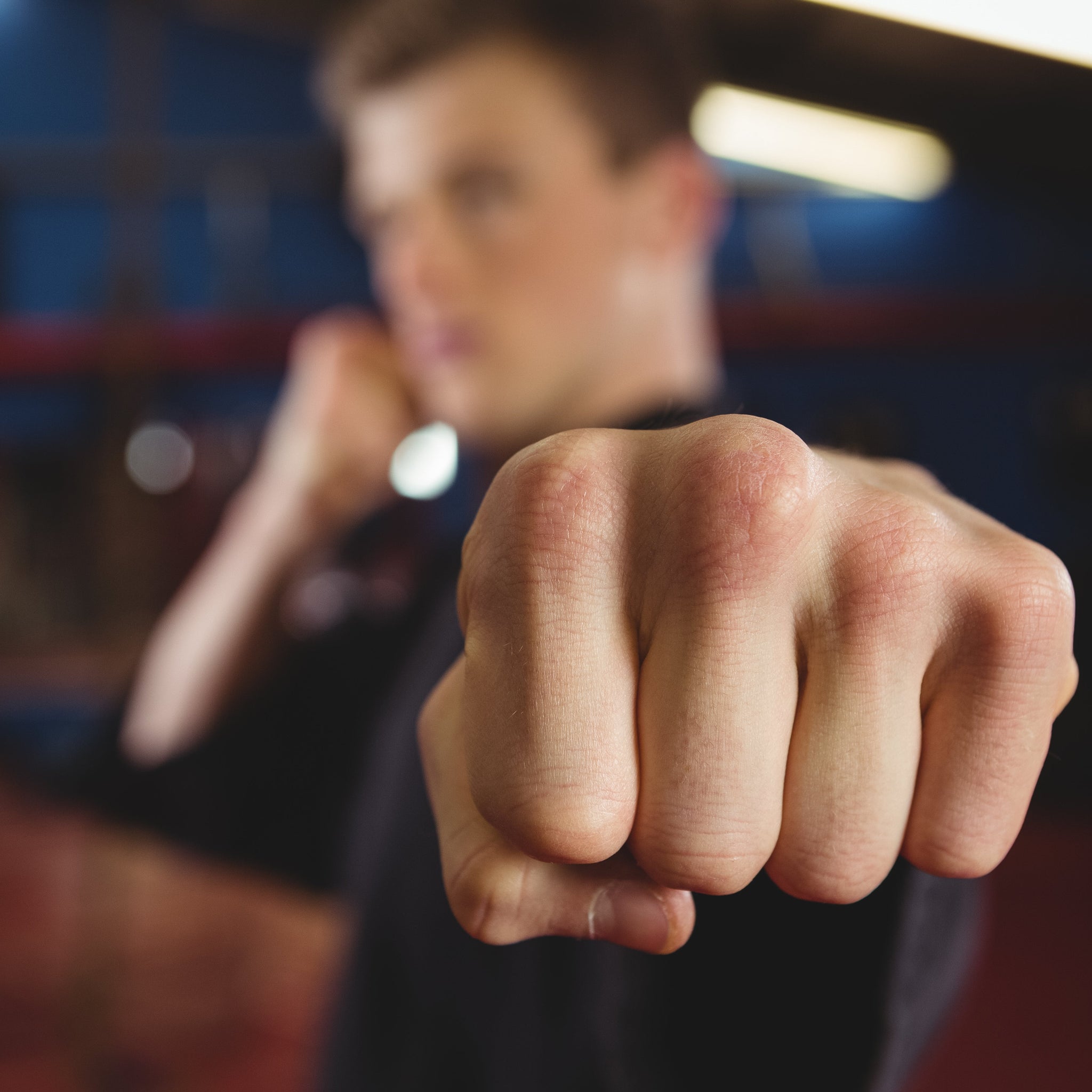 Fighterstyrke 