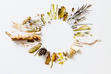 Kvalitet og dokumentation for kosttilskud